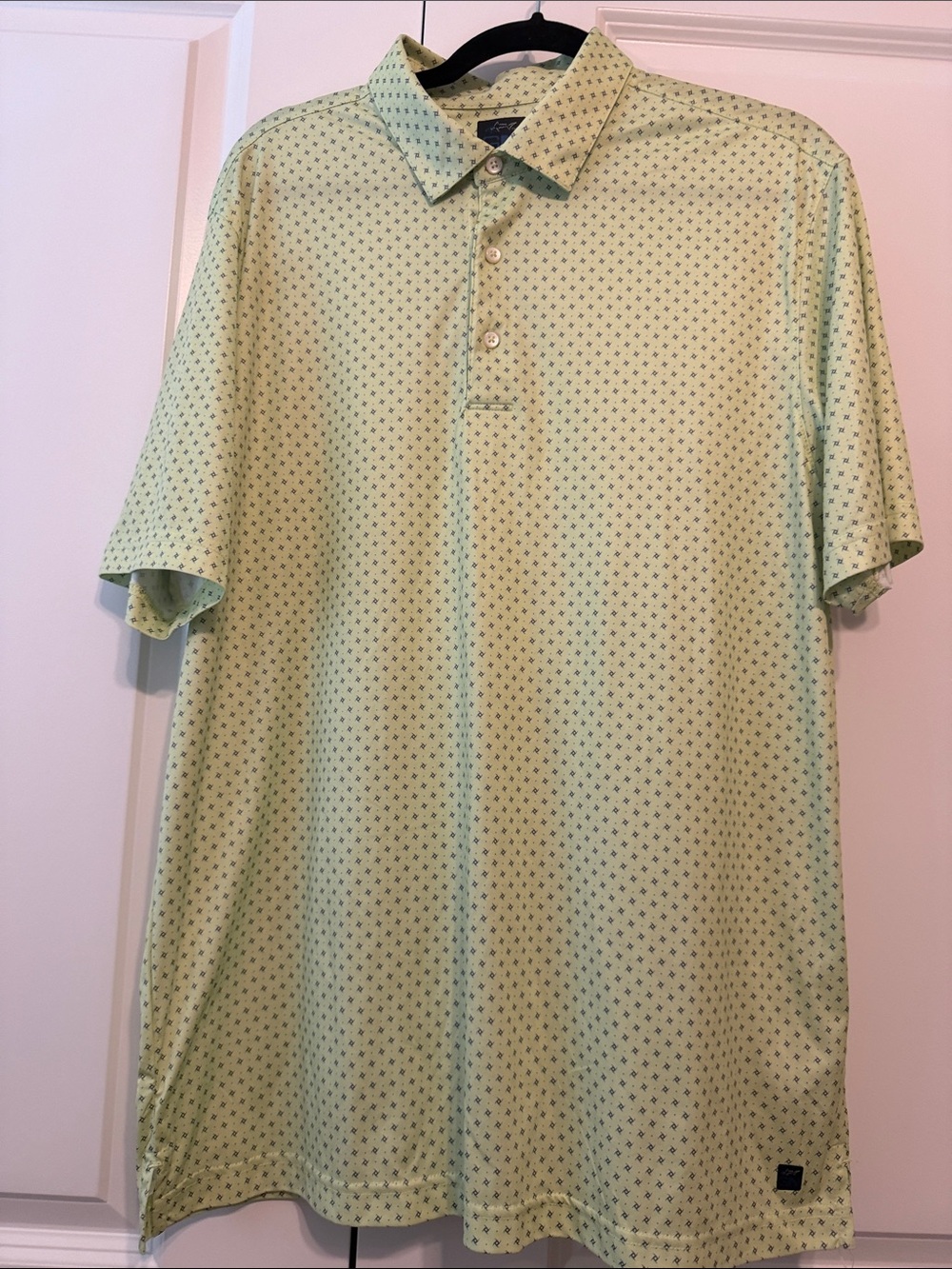 Men's Mint Green Micro-Print Polo Shirt